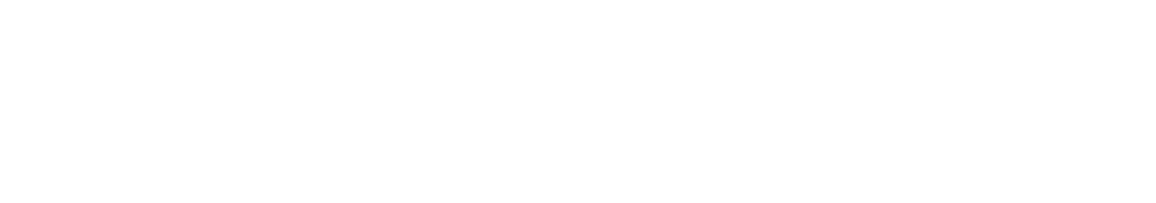 Binghamton University Undergraduate Journal