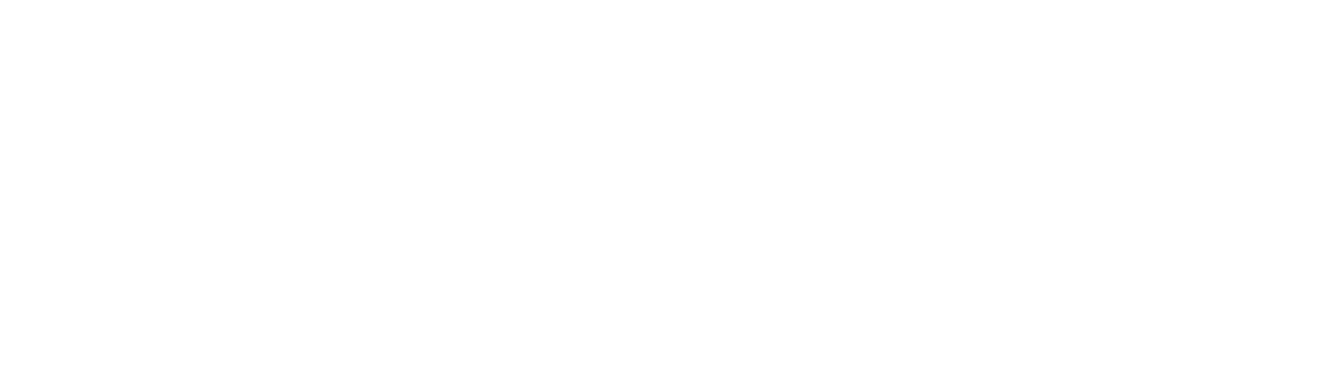 Binghamton University Undergraduate Journal